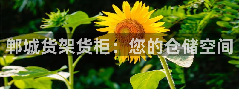 杏运体育娱乐