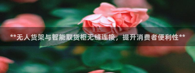 杏运注册登录地址