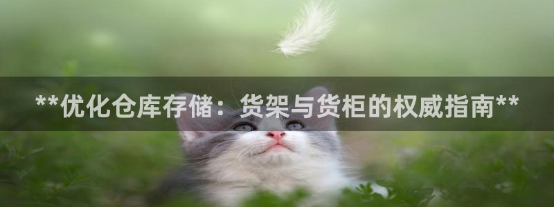 杏运代理