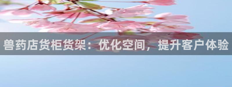 杏运体育官方网址