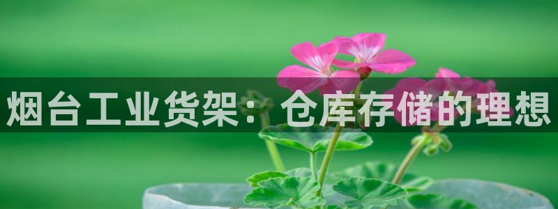 杏运平台官网