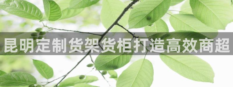 杏运体育平台