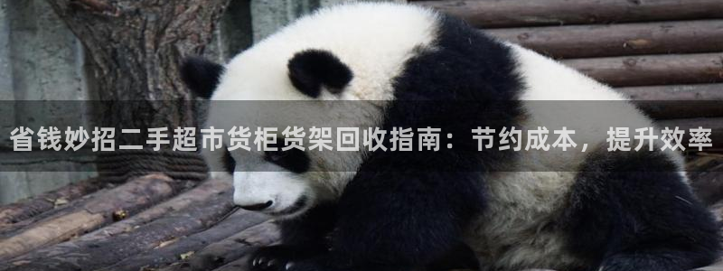 杏运平台官网