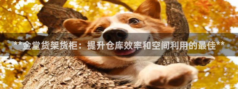 杏运注册平台