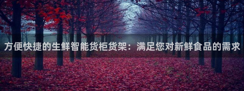 杏运汽车招商