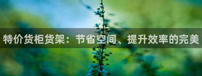 杏运平台登陆