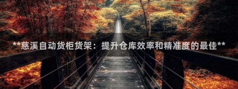 杏运注册登录地址