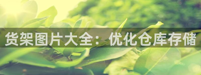 杏运体育注册