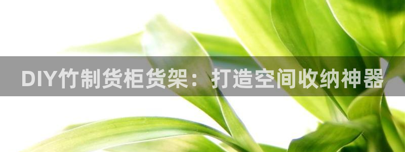 杏运注册登录