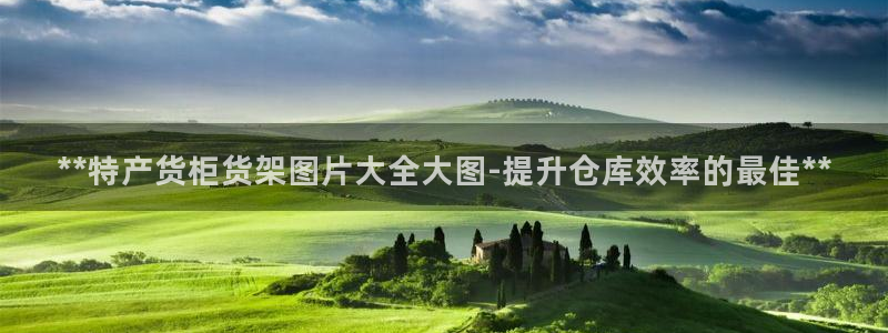 杏运体育官方网址