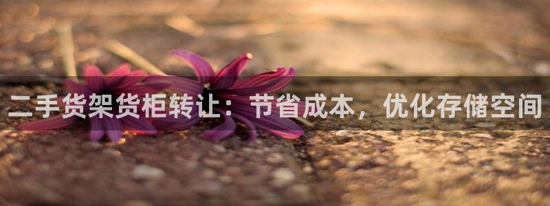 杏运代理