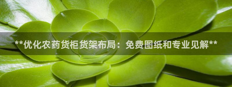 杏运注册平台