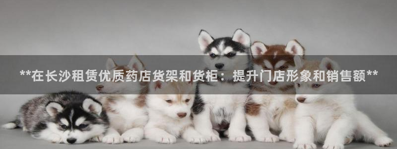 杏运体育官方网址