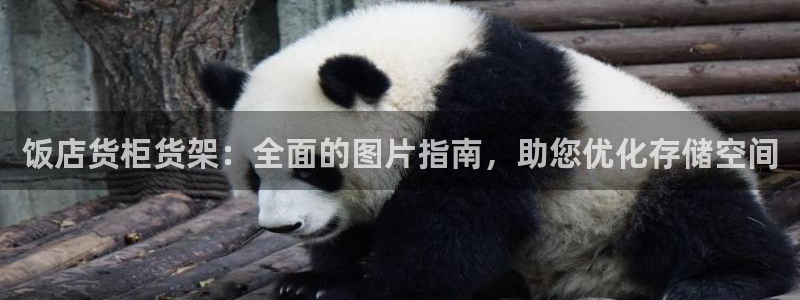 杏运体育