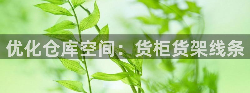 杏运平台招商