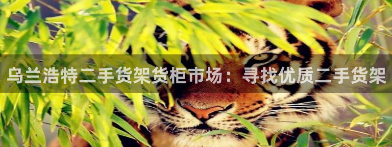 杏运登录