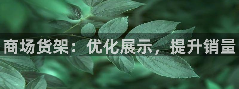 杏运注册账号