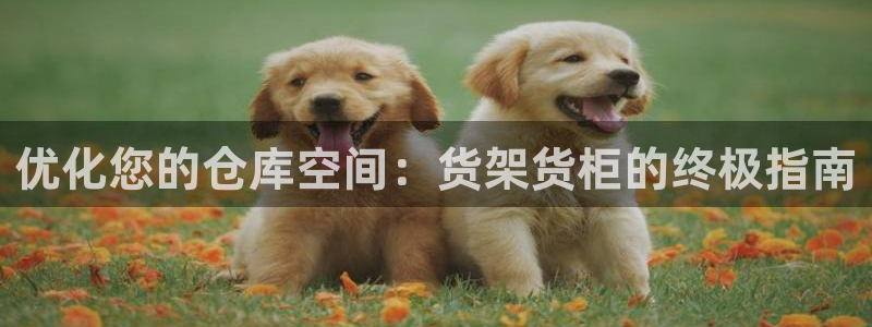 杏运平台官方网站