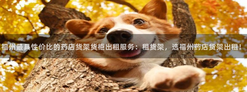 杏运体育登录