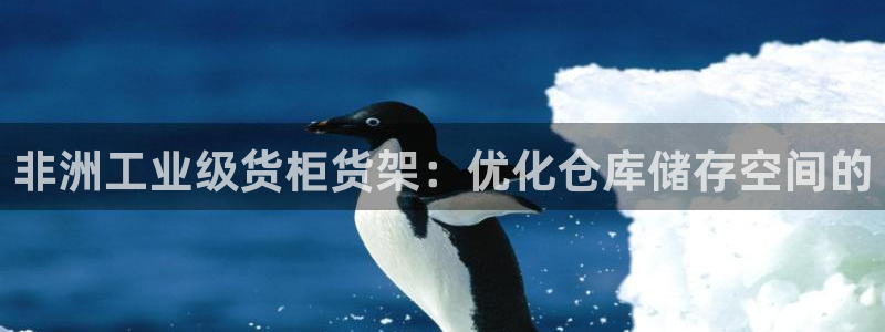 杏运体育