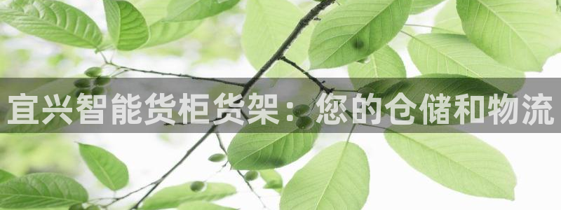 杏运体育平台正规吗安全吗