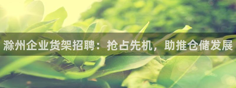 杏运相伴