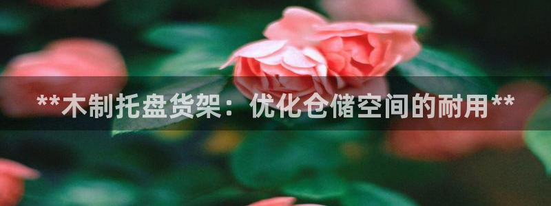杏运体育app下载安装