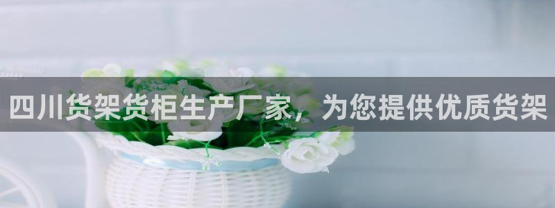 杏运汽车招商