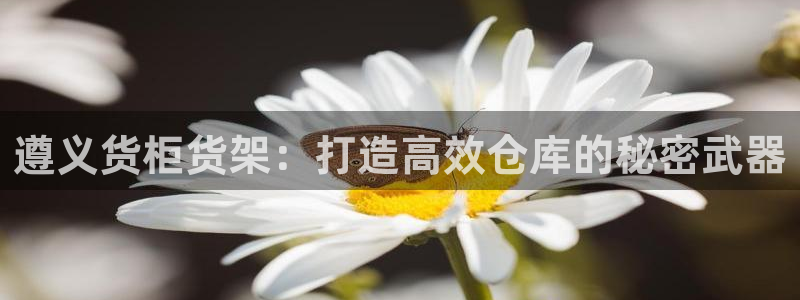 杏运平台登陆