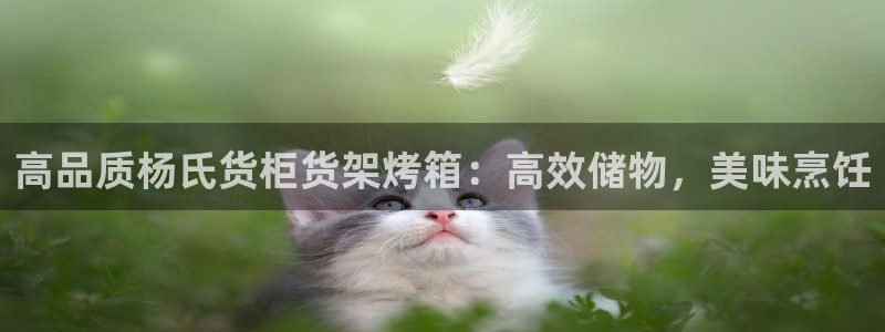 杏运娱乐官网