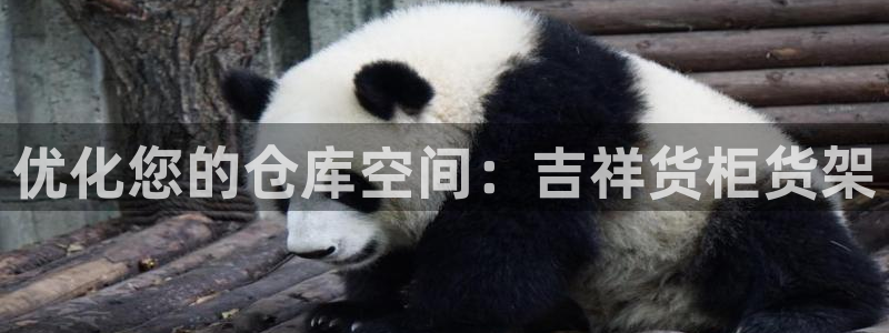杏运平台官方网站