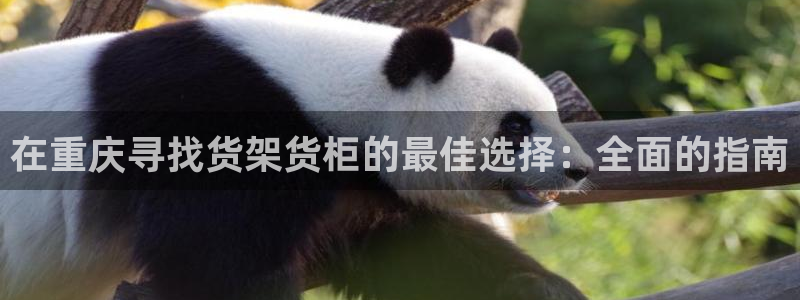 杏运体育官方网址登录