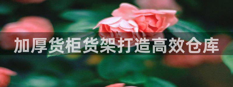 杏运汽车招商