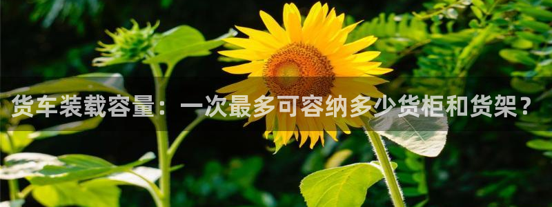 杏运平台代理