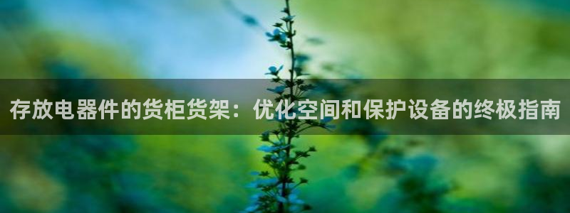 杏运体育