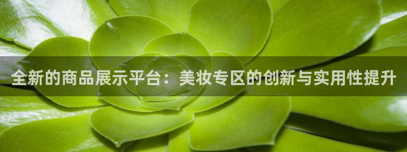 杏运登录