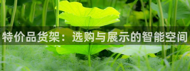 杏运体育app
