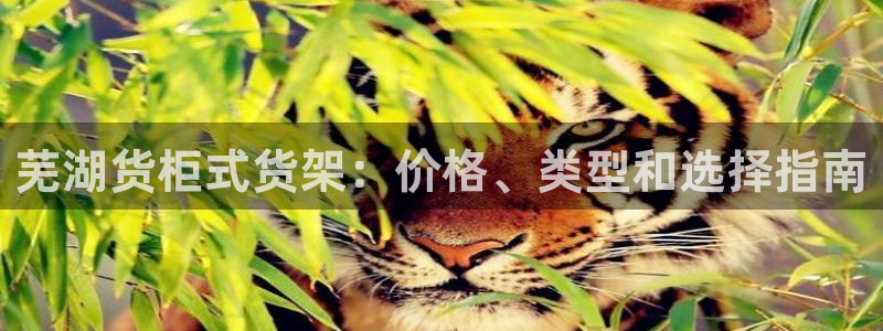 杏运平台登陆