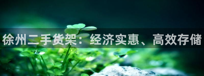 杏运汽车招商
