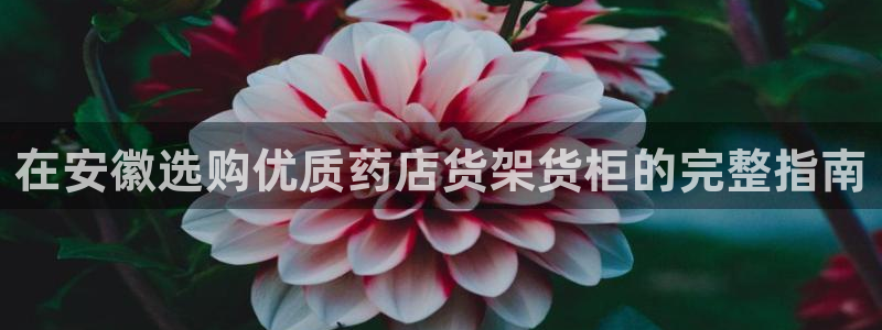 杏运体育官网