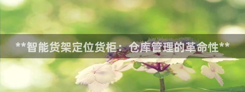 杏运注册登录地址