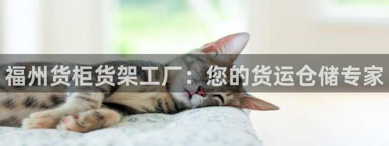 杏运娱乐平台注册地址在哪里