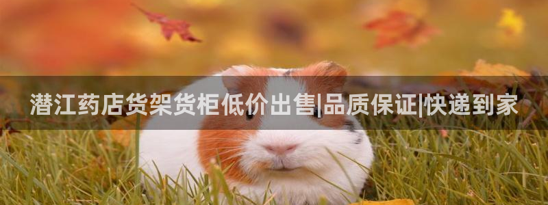 杏运体育平台正规吗安全吗可信吗
