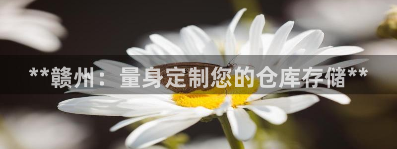 杏运平台注册登录