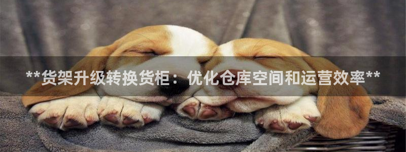 杏运体育