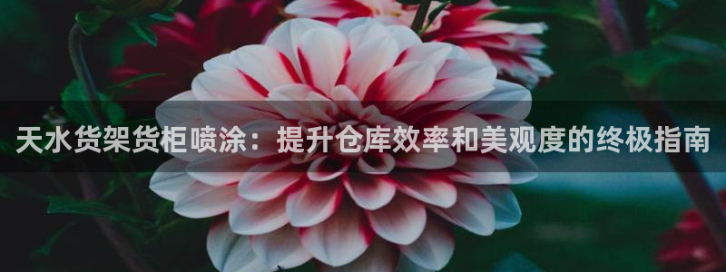 杏运体育注册
