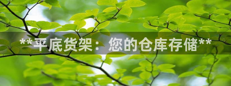 杏运体育app