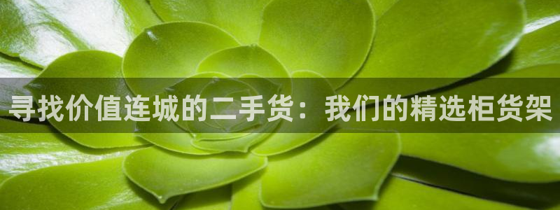 杏运登录