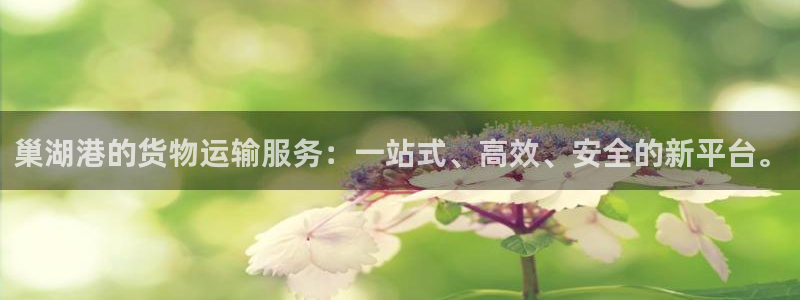 杏运体育官方网址