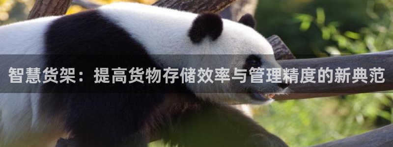 杏运平台注册登录